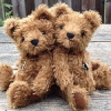 Teddy Bear Menagerie