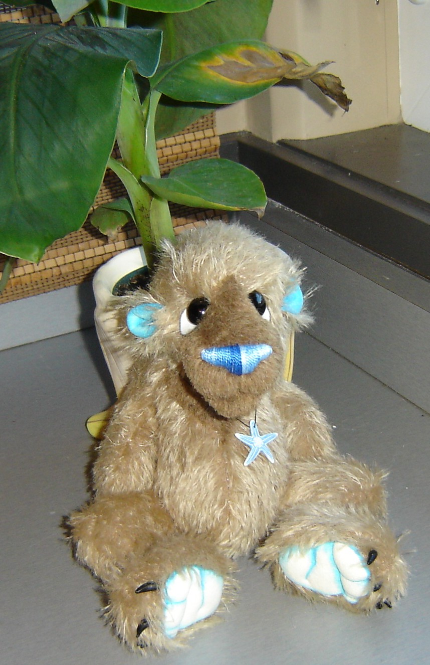 Jessenew1.jpg