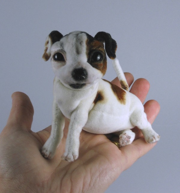 Finally Back to Normal! Miniature Jack Russell Terrier on eBay at Noon