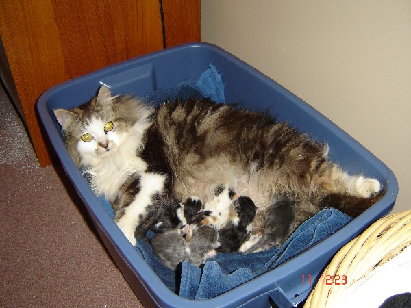 momandbabies.jpg