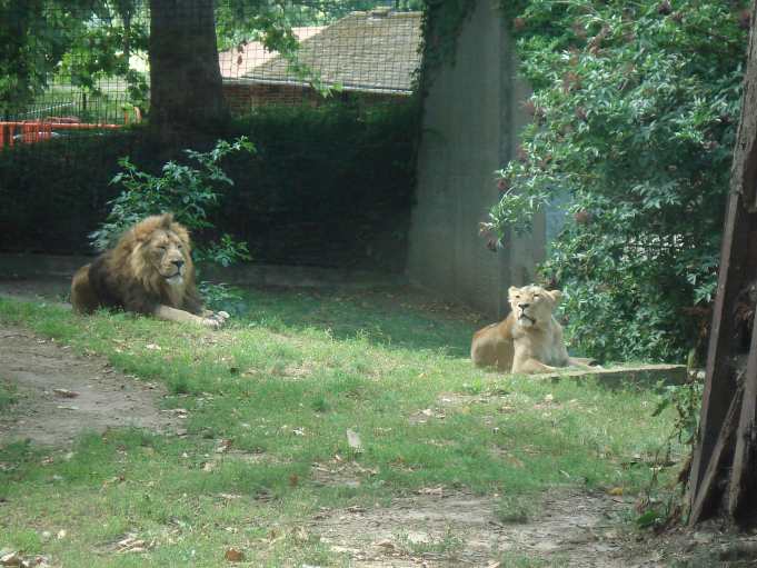 zoo2.jpg