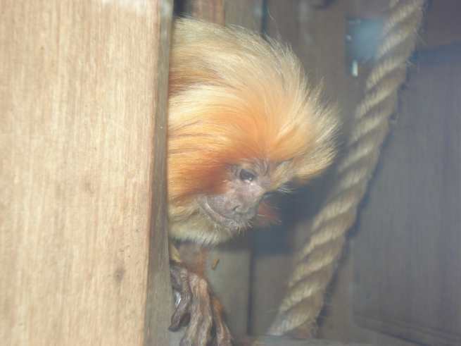 zoo3.jpg