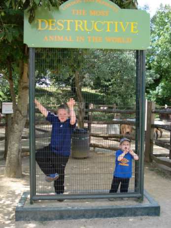 zoo6.jpg