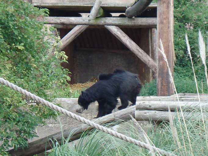 zoo7.jpg