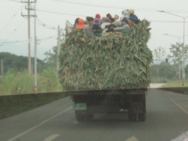 Chiang_Mai_-_workers_on_truck.jpg