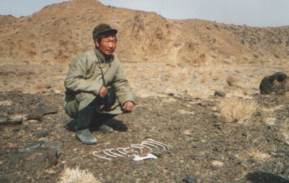 gobi2.jpg