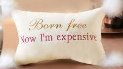 expensive.jpg