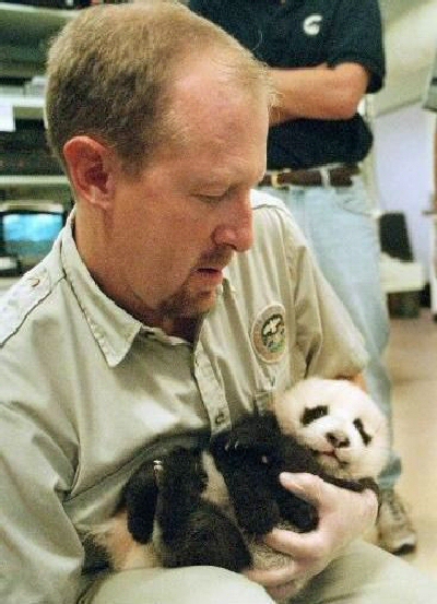 panda8.jpg