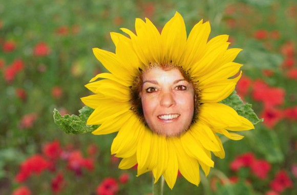 sunnieflower.jpg