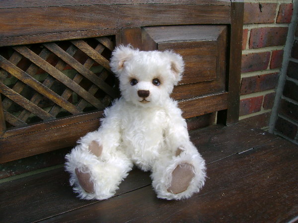 teddy-039.jpg