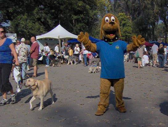 howdy_super_dog.JPG