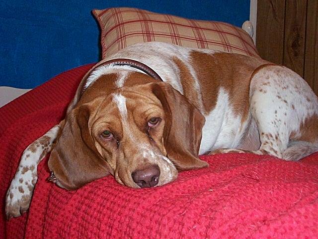 kayla-lying-on-bed-july-2007.jpg