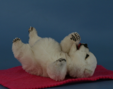 baby_polar_bear_05.JPG