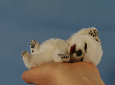 baby_polar_bear_12.JPG