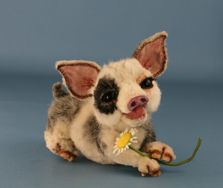 daisy_small03.JPG