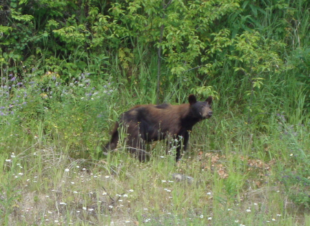 prince_rupert_01.JPG