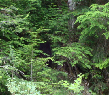 prince_rupert_04.JPG
