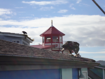prince_rupert_06.JPG