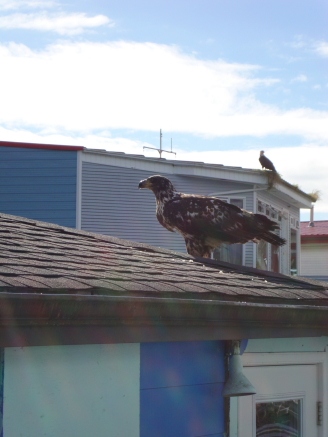 prince_rupert_07.JPG