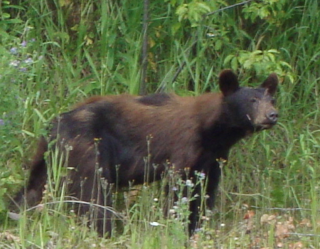 prince_rupert_11.JPG