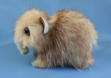 snufl_small_03.JPG