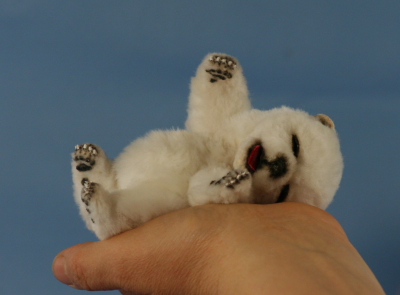 baby_polar_bear_01.JPG