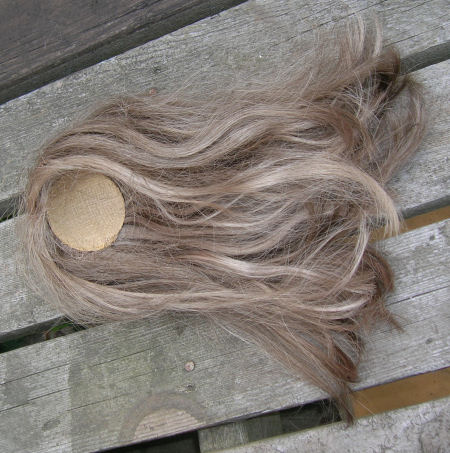 Wig1.jpg