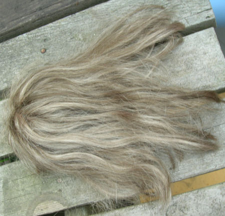 wig3.jpg