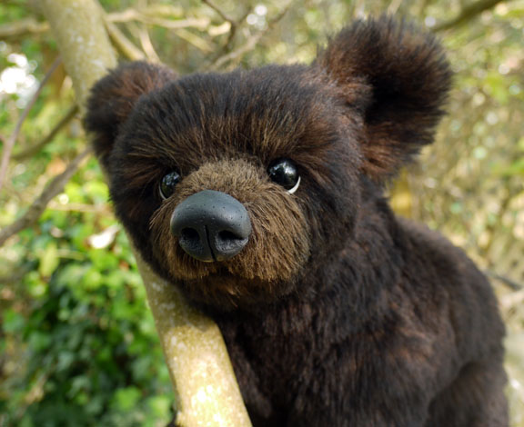 cub_face.jpg