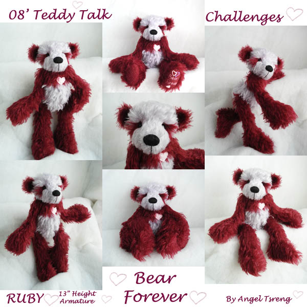 Teddy_Talk_Challenge-1_copy.jpg