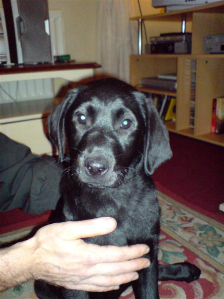 DSC00219-Medium.JPG
