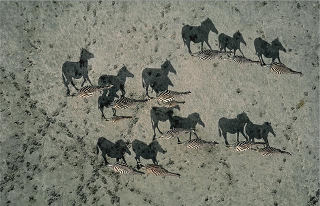 geo7.jpg