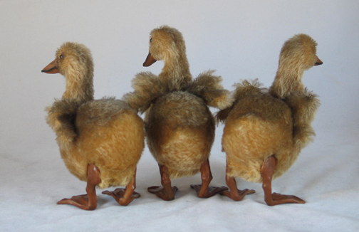 3_yellow_goslings_rear_1_smaller.jpg