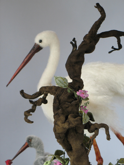 Snowy_Egret__chick_6_sm.jpg