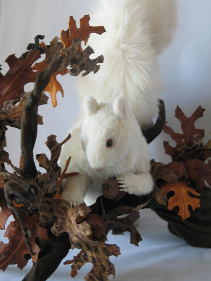 albino_squirrel_w_oak_12_sm.jpg