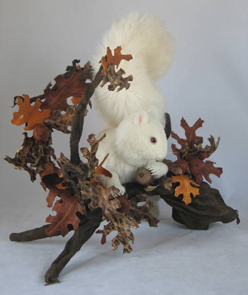 albino_squirrel_w_oak_14_sm.jpg