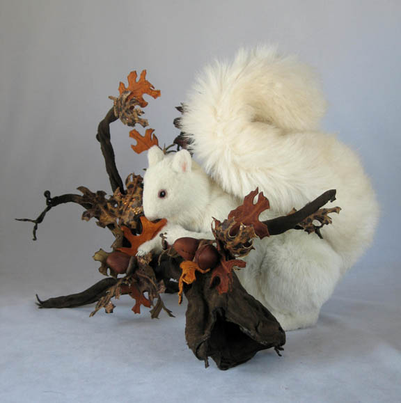 albino_squirrel_w_oak_17_sm.jpg