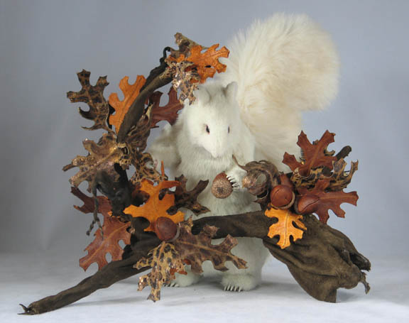 albino_squirrel_w_oak_2_sm.jpg