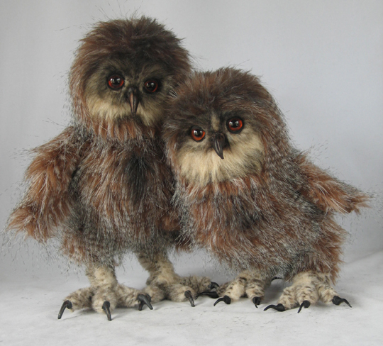 eagle_owl_chicks_6_sm.jpg