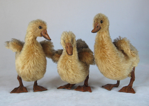 3-yellow-goslings-front-1-smaller.jpg