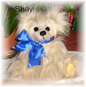 Shay-6-26-09-001.jpg