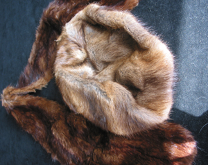 furs1.jpg