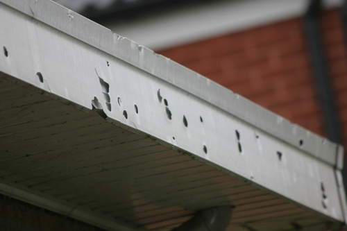 roof.jpg