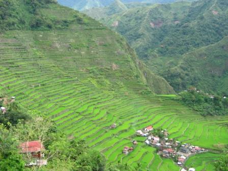 Batad_village.JPG