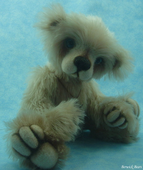 willy2-028.JPG