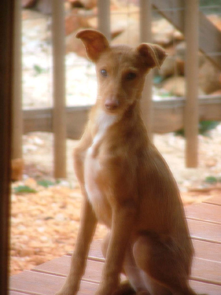 DSCF5495.jpg