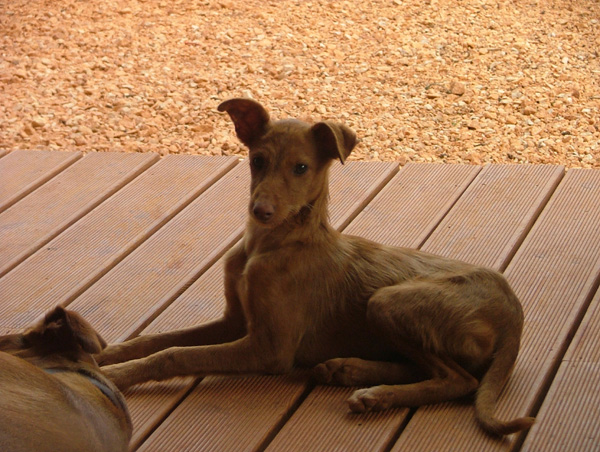 DSCF5504.jpg