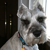 Cooper-170x170.jpg