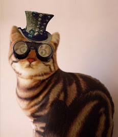 STEAMPUNKCATkdkd8.jpg