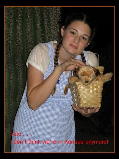 DorothyTT.jpg